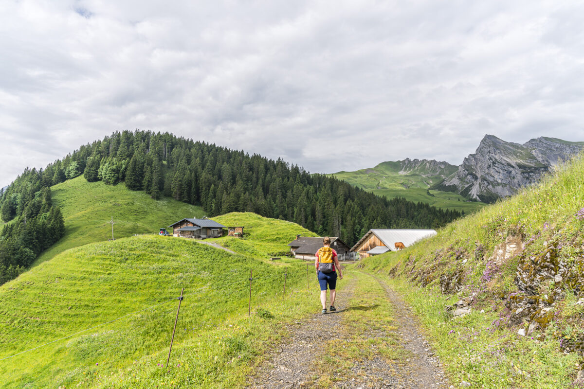 Wanderweg bei Feldmoos