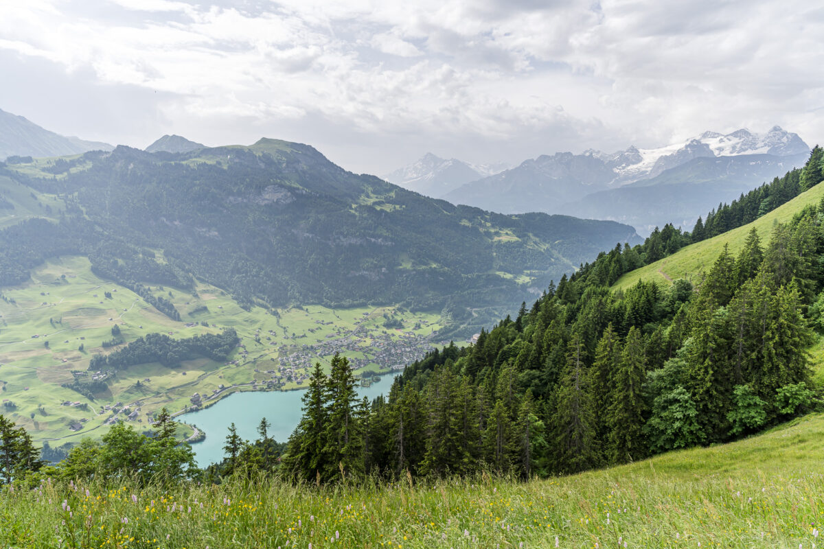 Aussicht vom Schmetterlingspfad