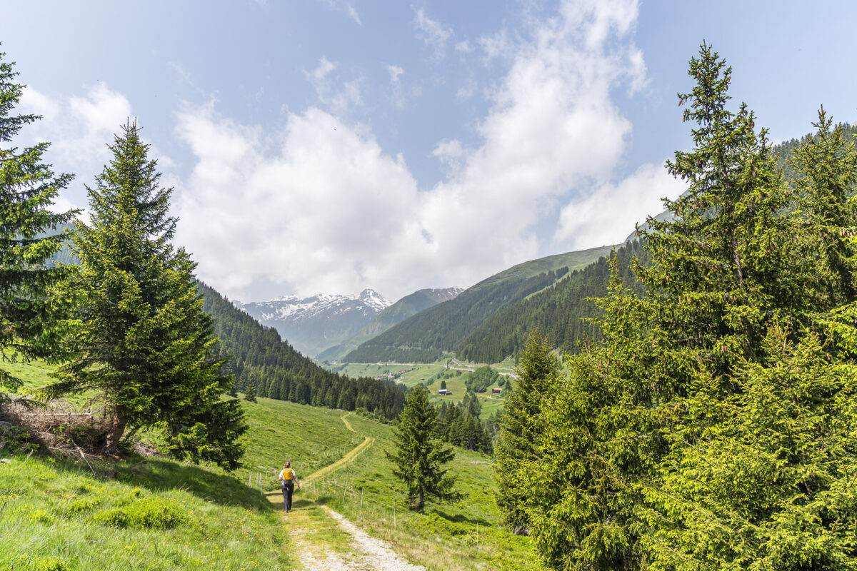 Wanderung Sedrun - Oberalppass
