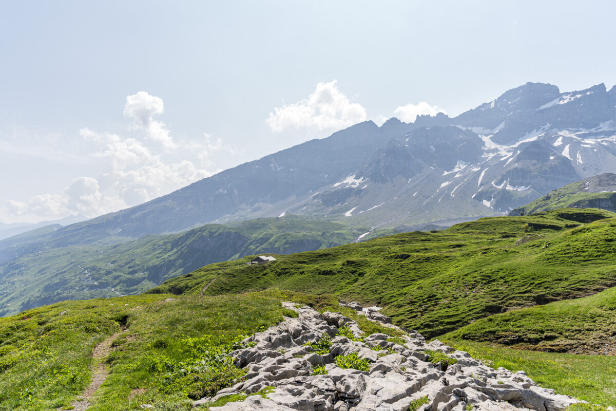 Landschaft am Klausenpass