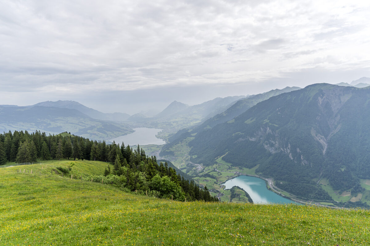 Aussicht vom Riebensädel