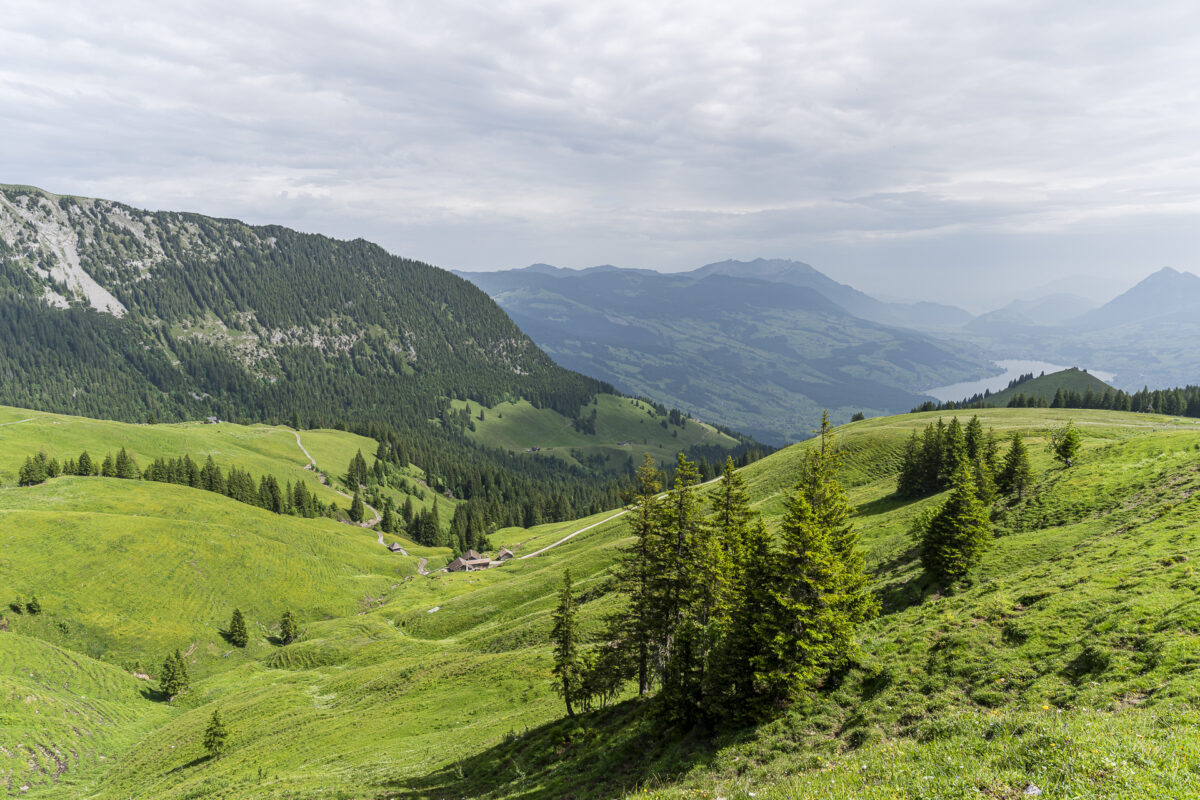 Gütsch Fluonalp
