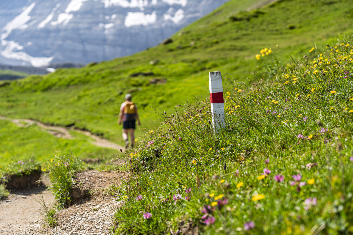 Wanderwegmarkierung am Klausenpass