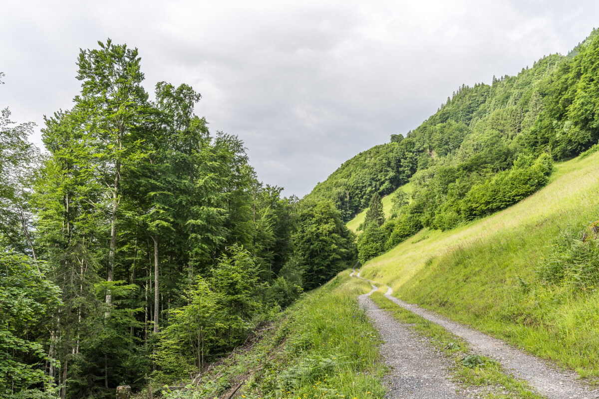 Wanderweg Schmetterlingspfad