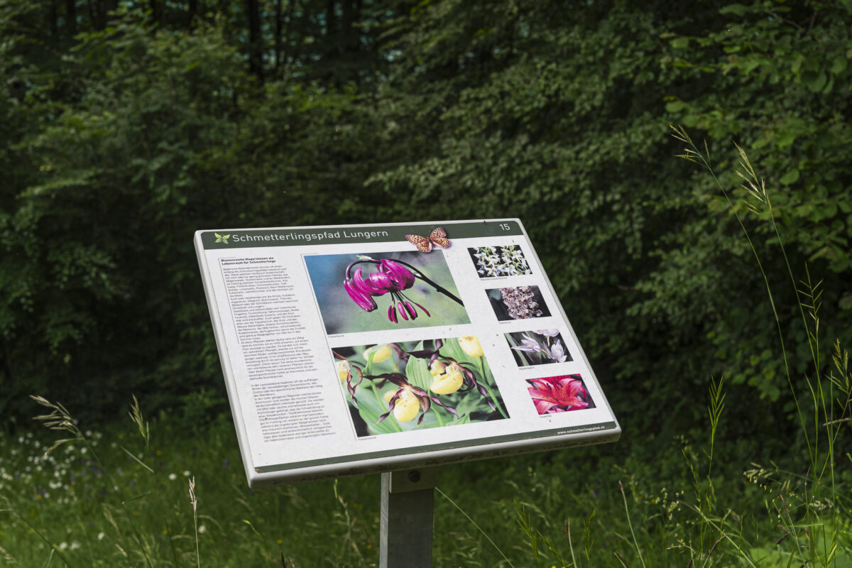 Infotafel Schmetterlingspfad