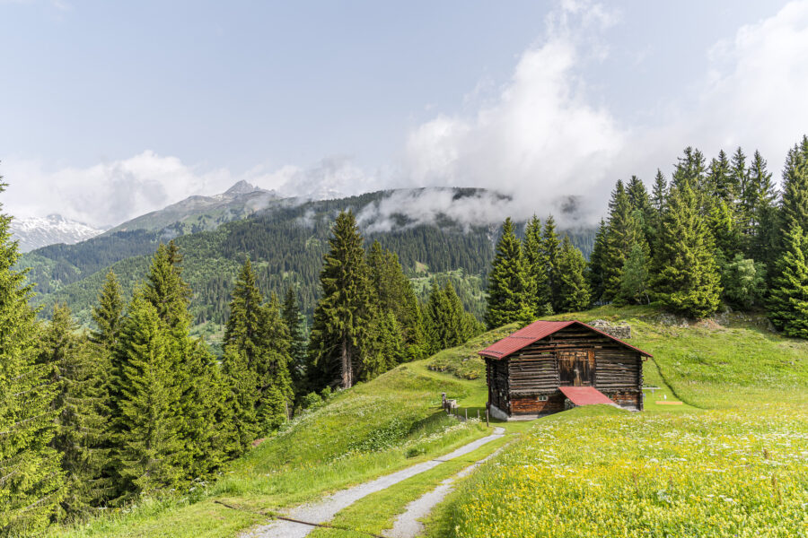 Surselva Landschaft