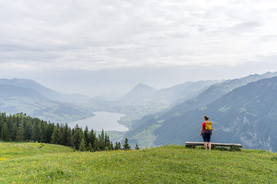 Schmetterlingspfad Lungern