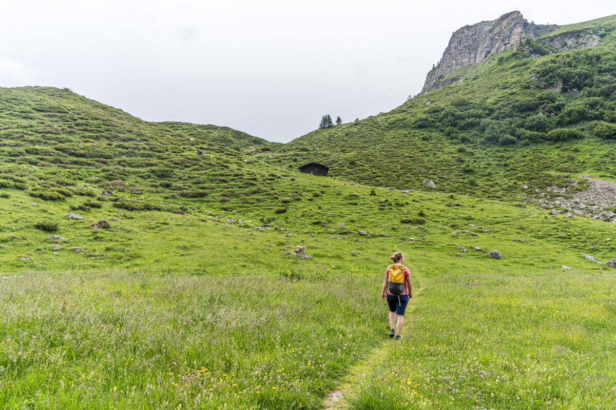 Hochtal Val Frisal