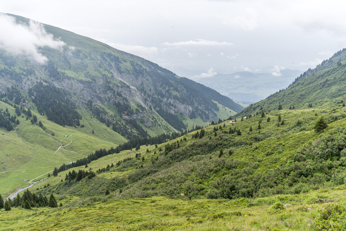 Alp Nova Breil/Brigels