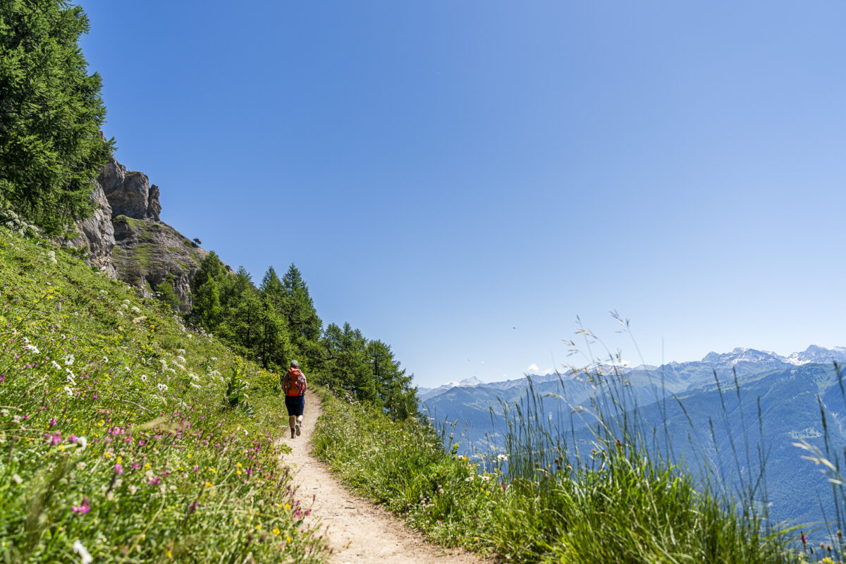 Wanderweg bei Ovronnaz