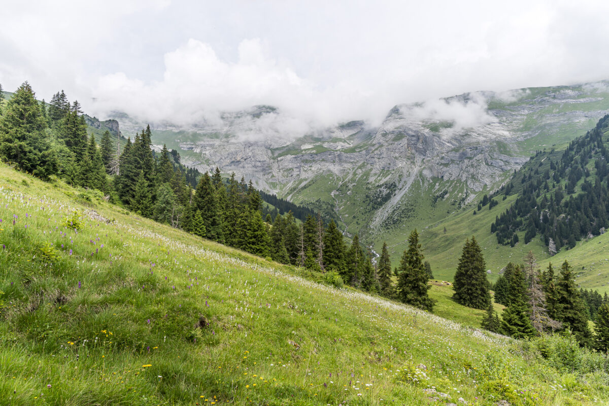 Abstieg nach Brigels