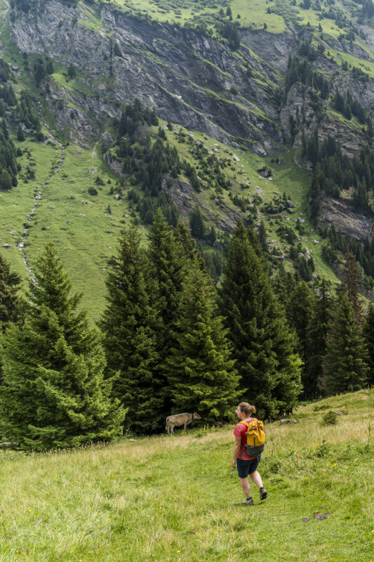 Bergsommer in Brigels