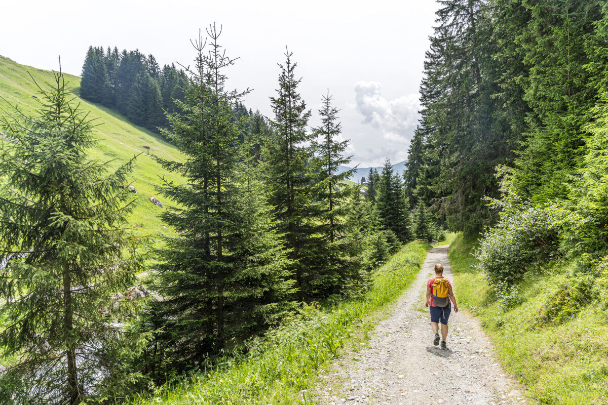 Uferweg entlang der Flem