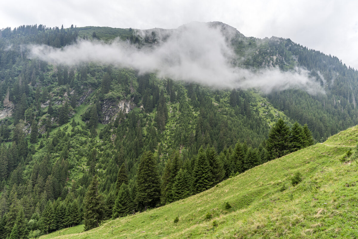 Landschaft in Brigels
