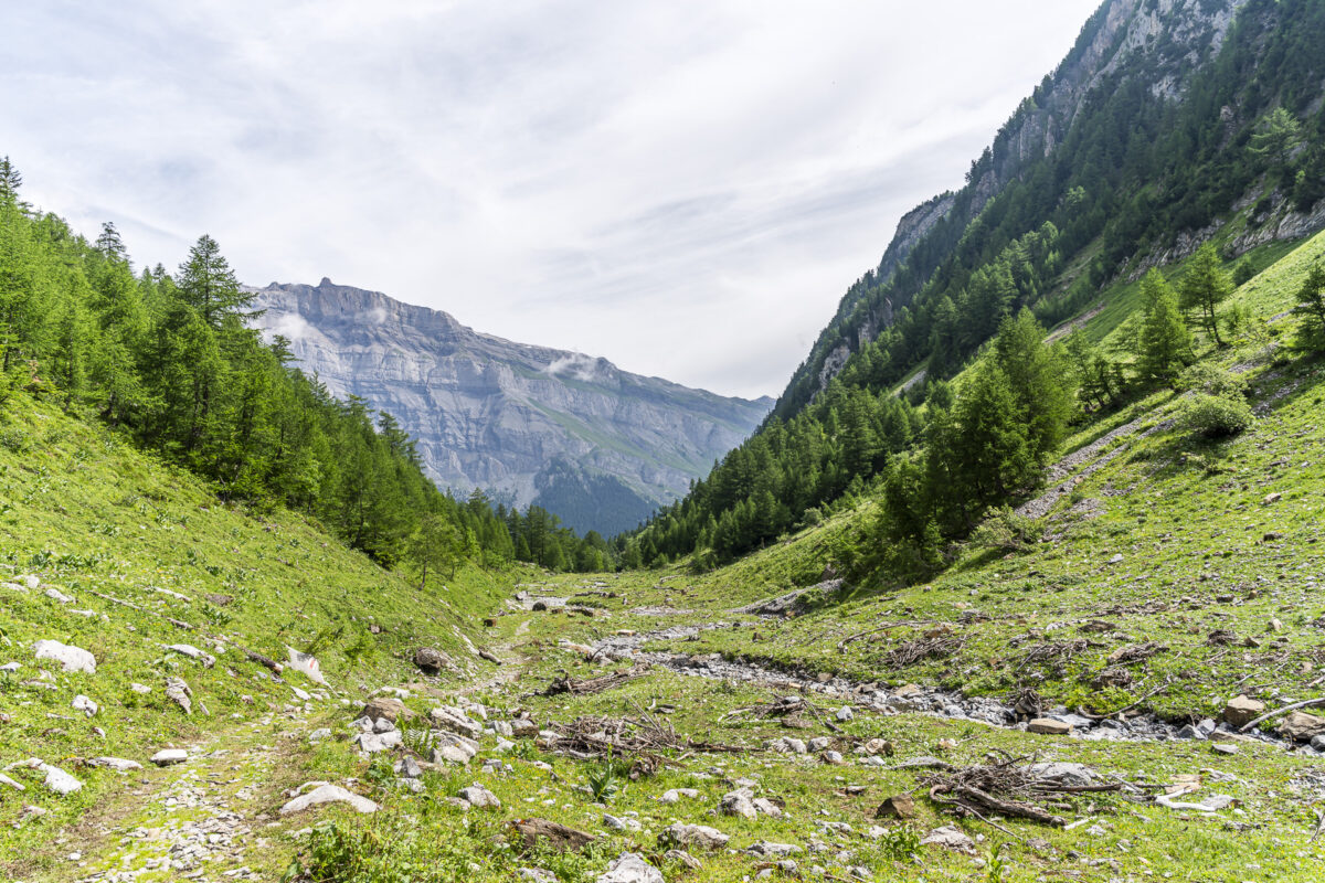 Wanderung Derborence - Muveran