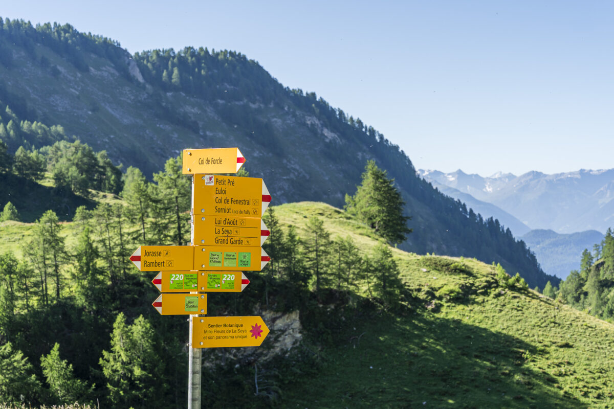 Wegweiser Jorasse