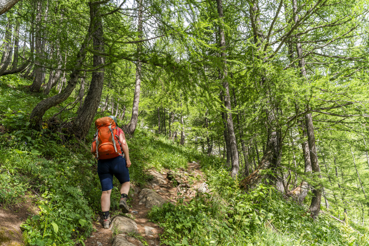 Derborence Wanderung