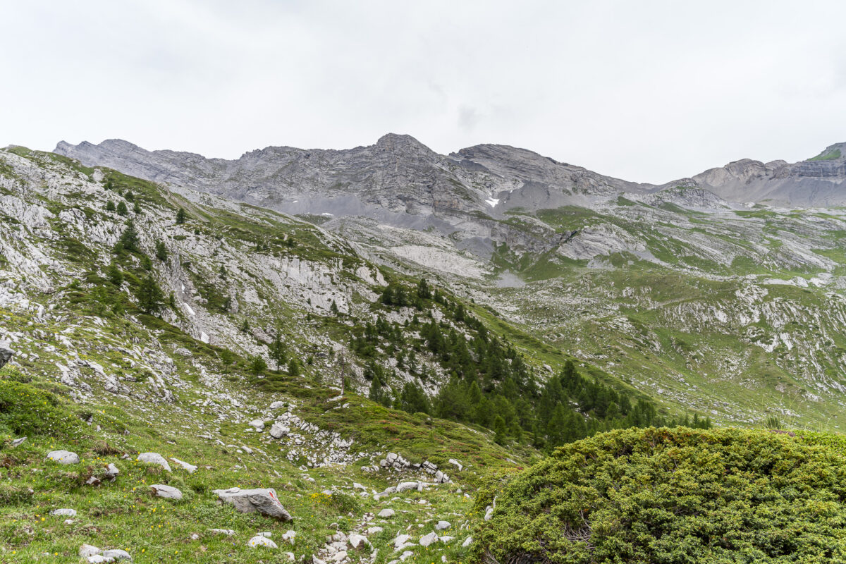 Panorama Derborence