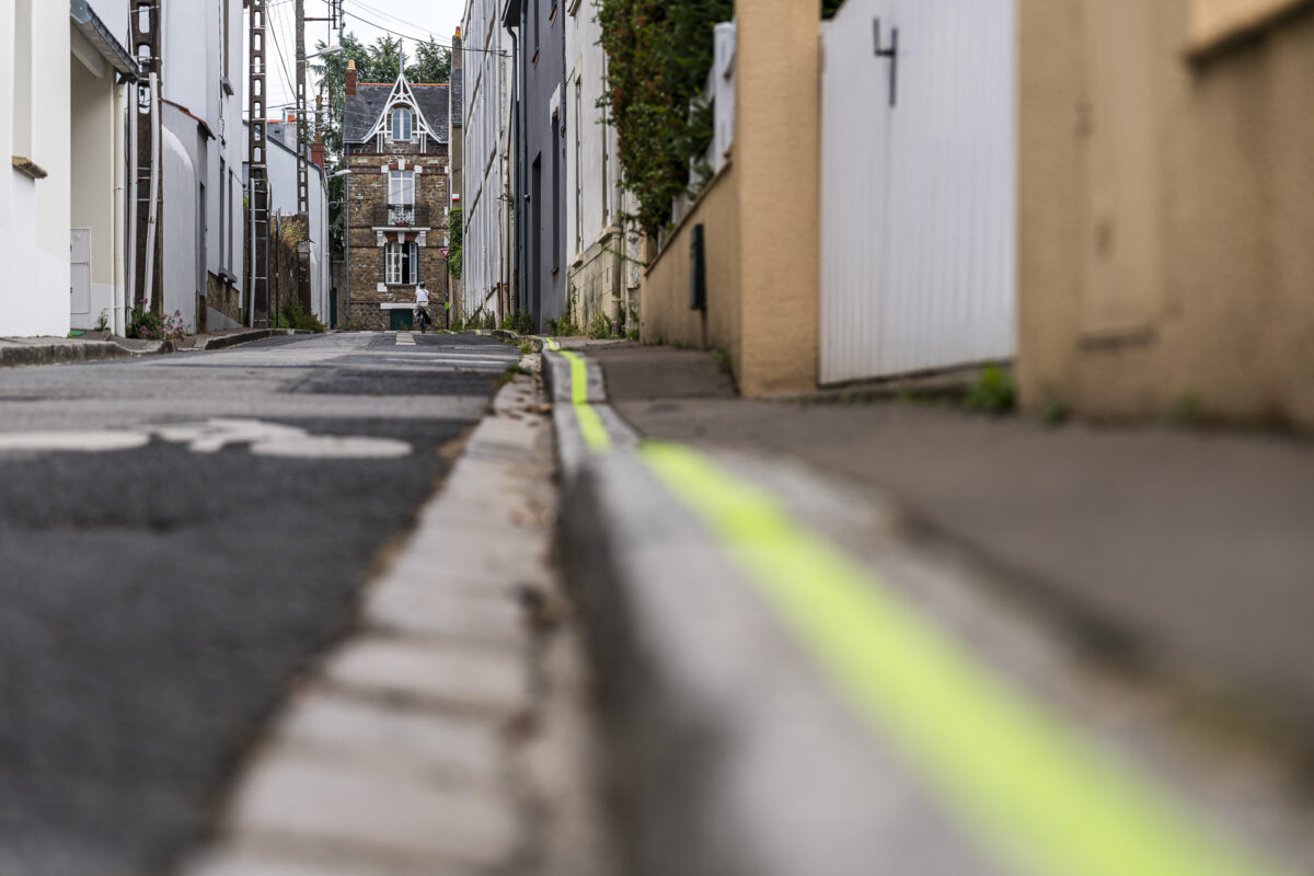 Grüne Linie Nantes
