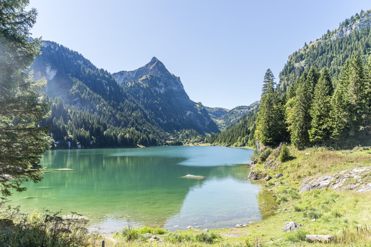Lac de Taney Unterwallis