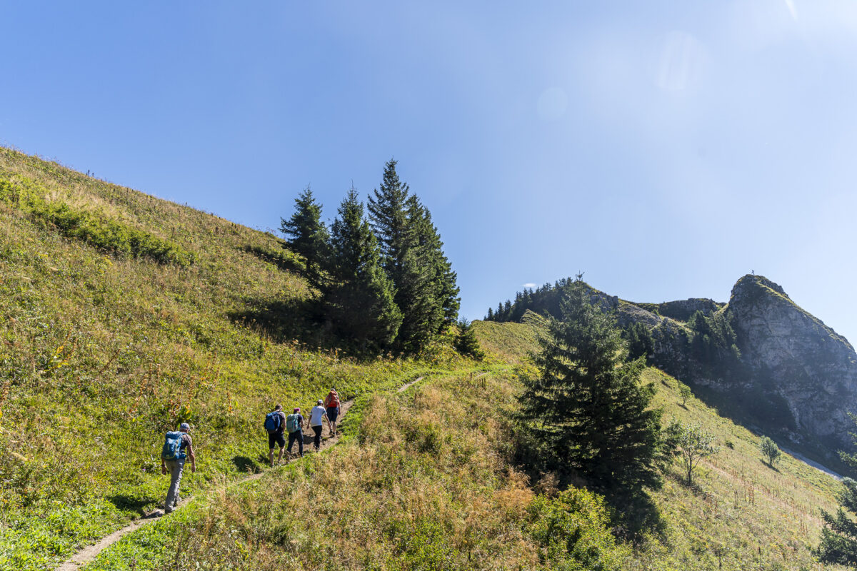 Wanderung auf den Alamont
