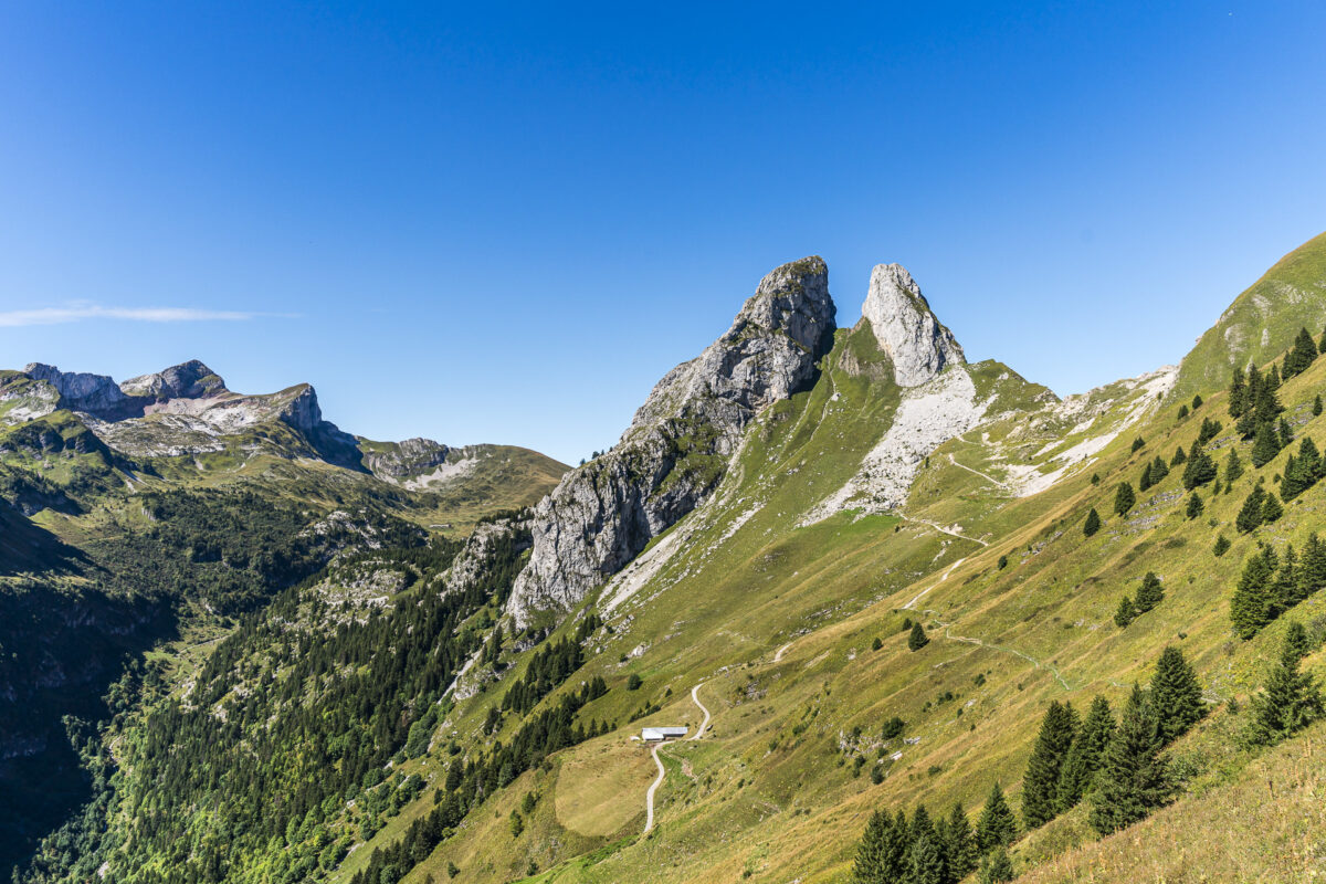 Alamont Gipfelaussicht