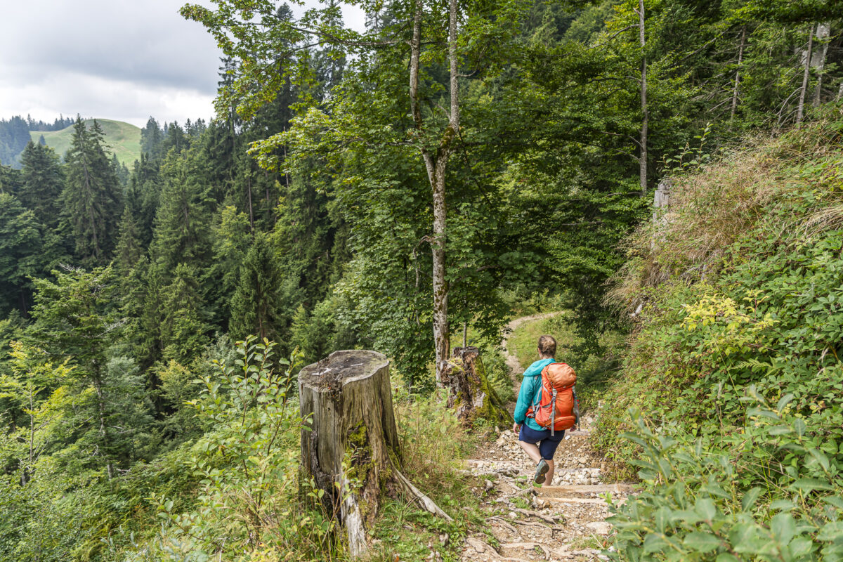 Wanderweg Napf