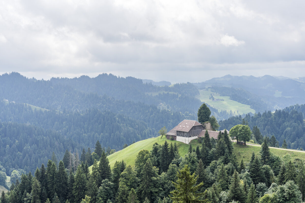 Napf Waldlandschaft