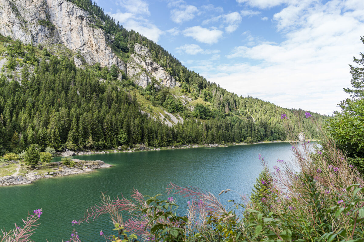 Lac de Taney