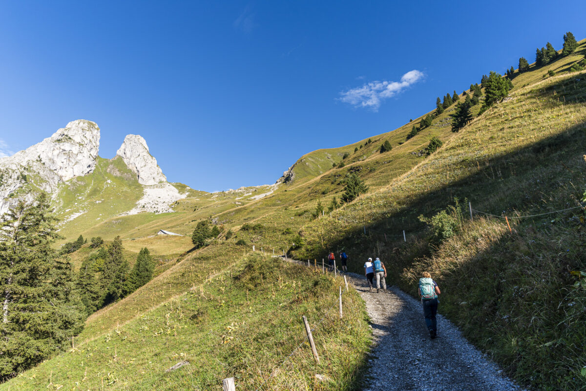 Wanderweg auf den Grammont