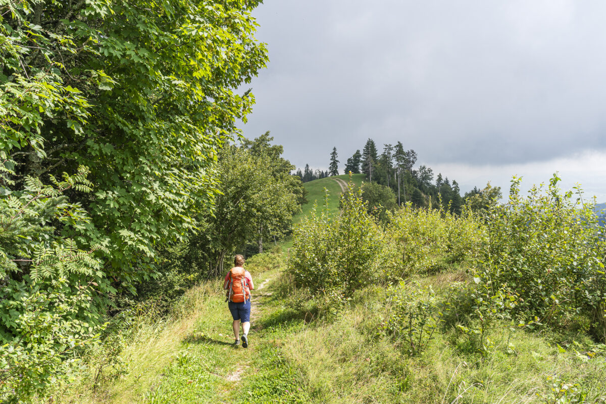Mättebergegg