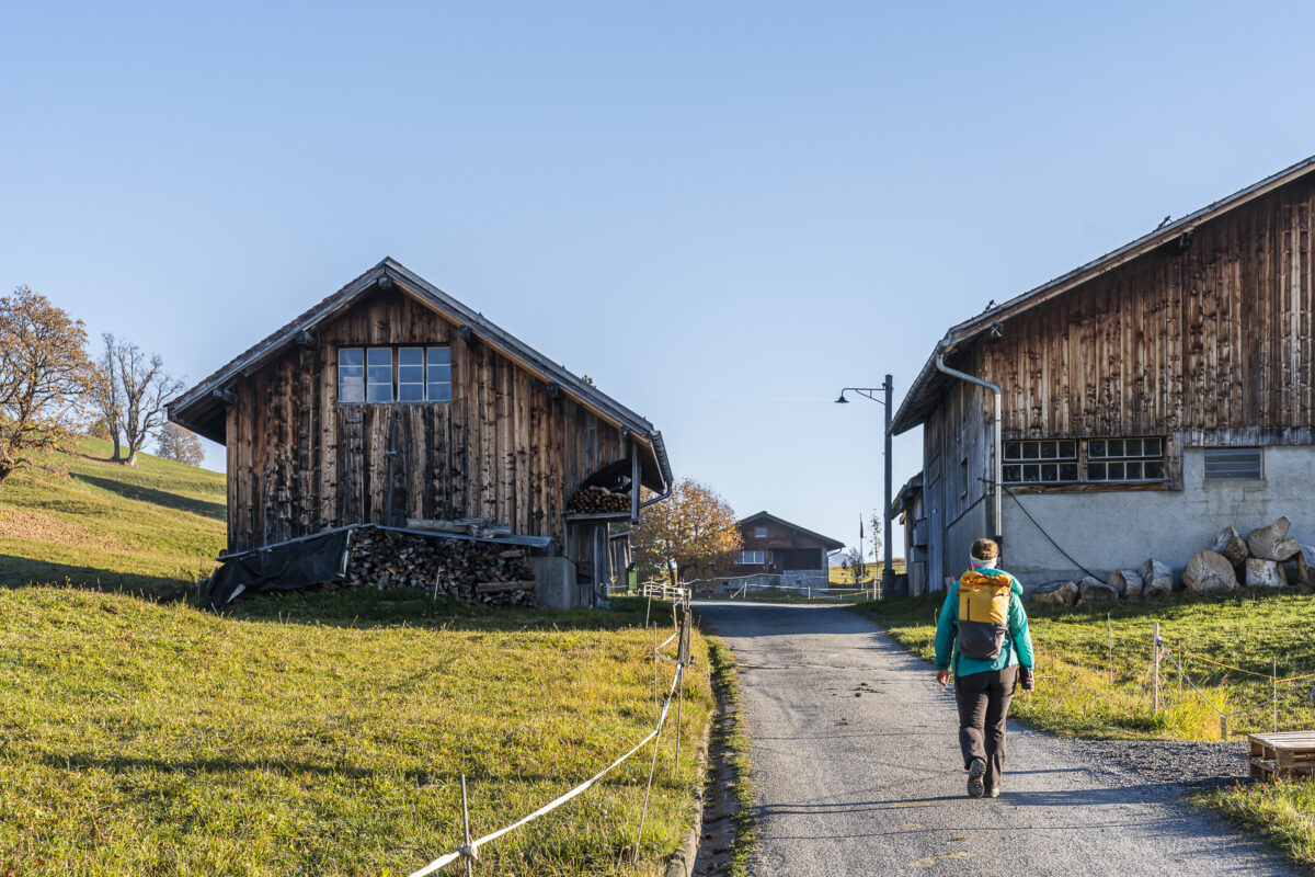 Wanderweg durch Braunwald