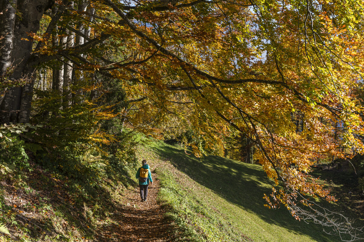 Wanderweg nach Nidfurn