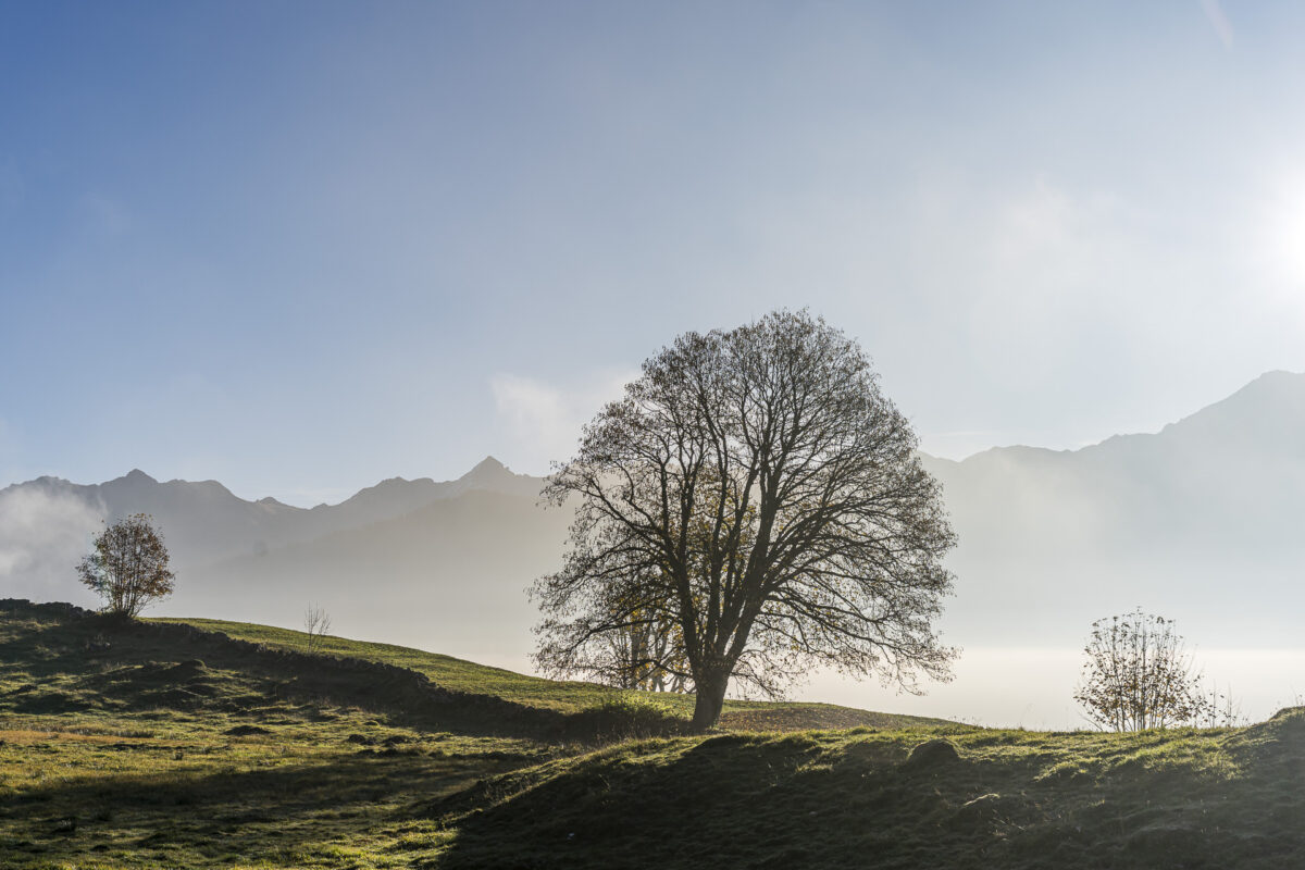 Herbstlandschaft Linthal