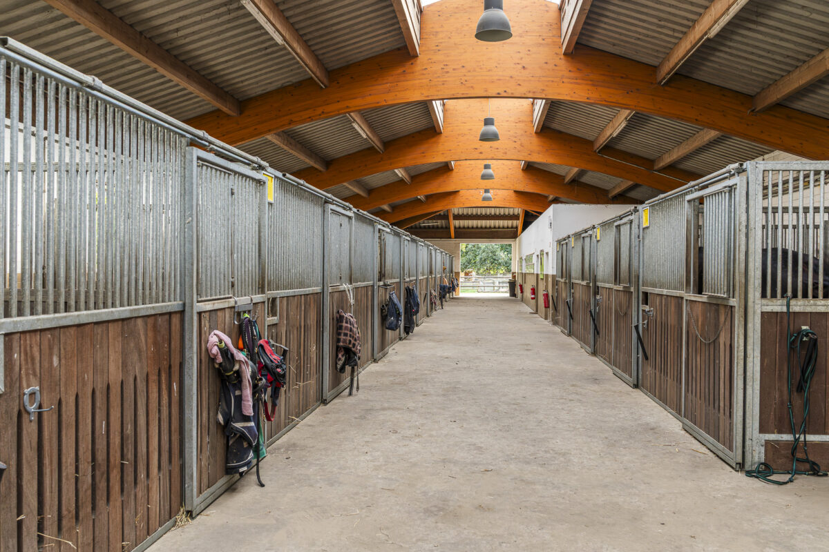 Reitstall Bernsteinschlsos Wendorf MV