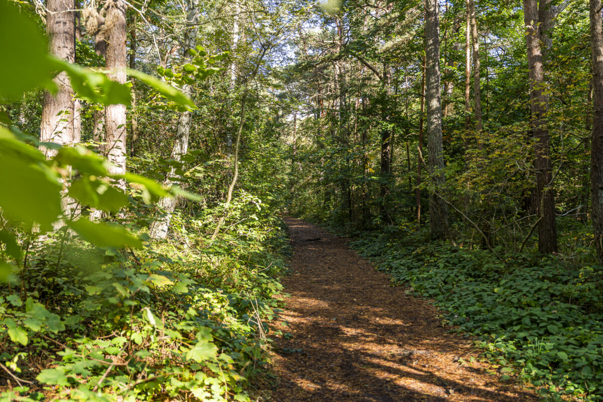 Wanderwege auf Rügen