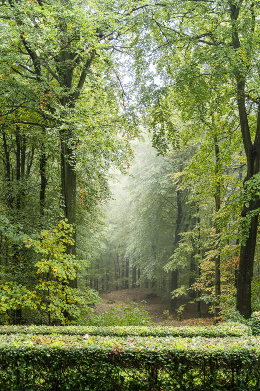 Granitz Rügen