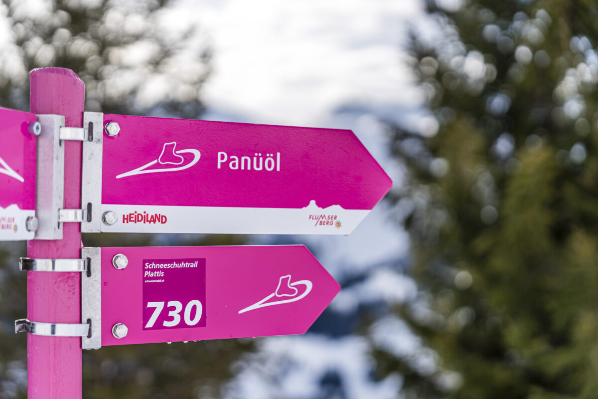 Schneeschuhtrail Plattis