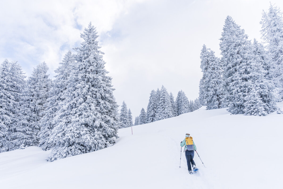 Schneeschuhtour auf der Alp Sellamatt