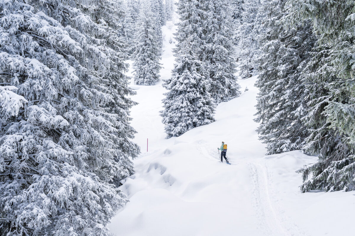 Schneeschuhtrail