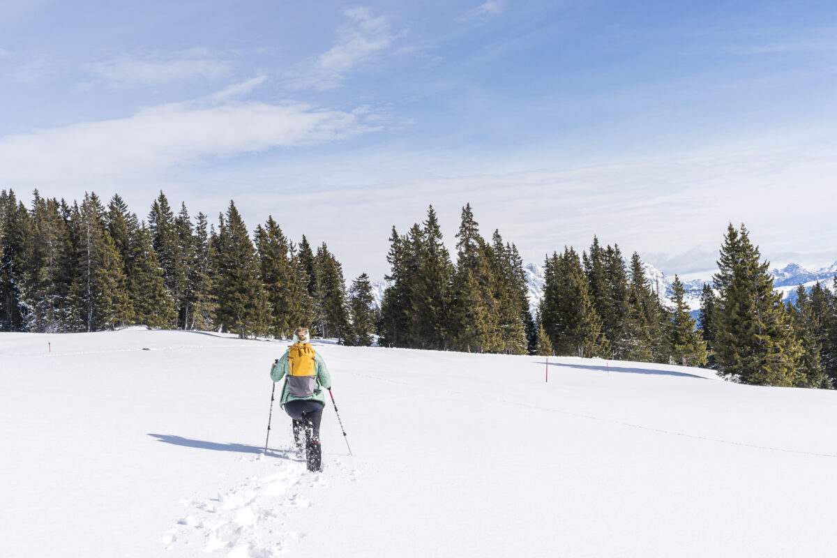 Schneeschuhlaufen Panüöl