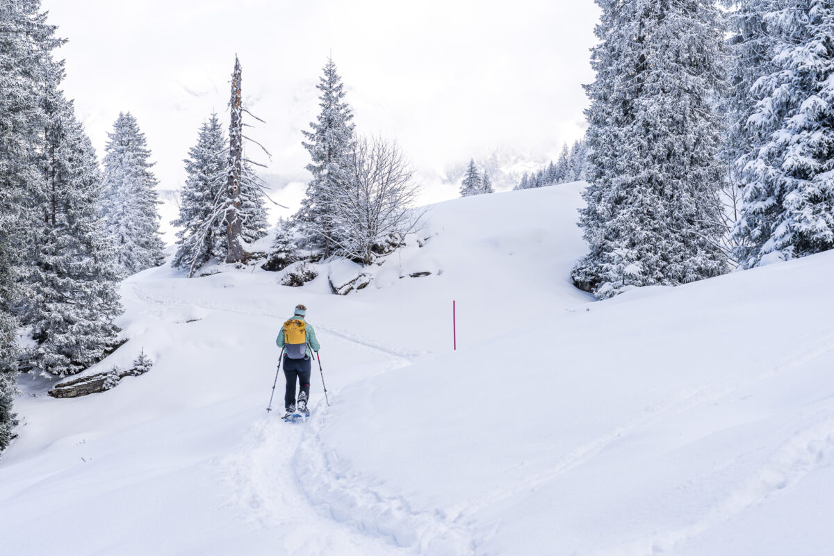 Sellamatt Schneeschuhtrail
