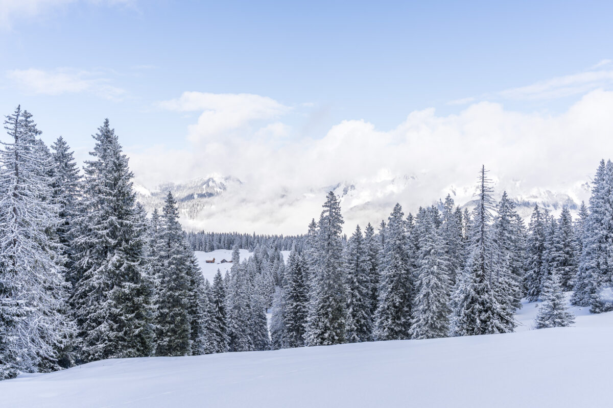 Winterlandschaft Toggenburg