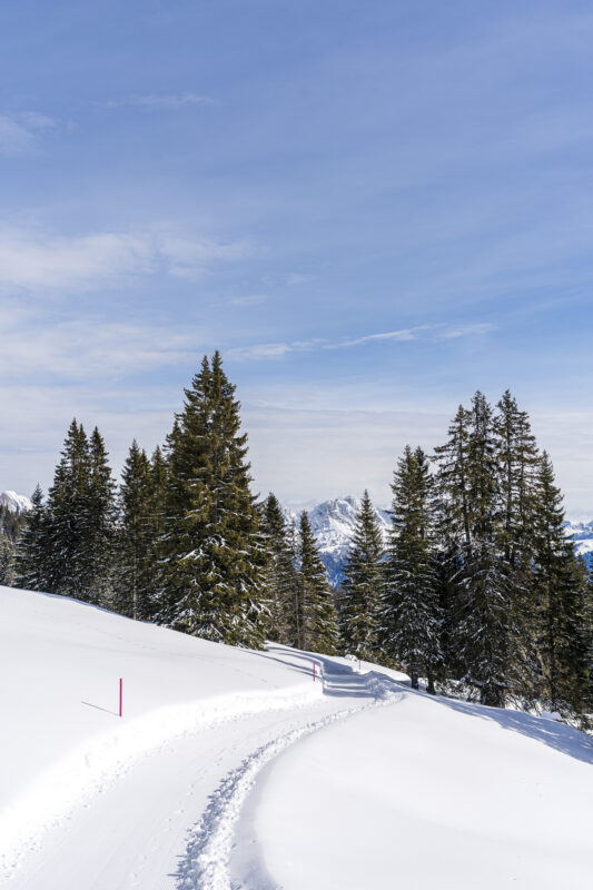 Winterwandern Prodalp Flumserberge