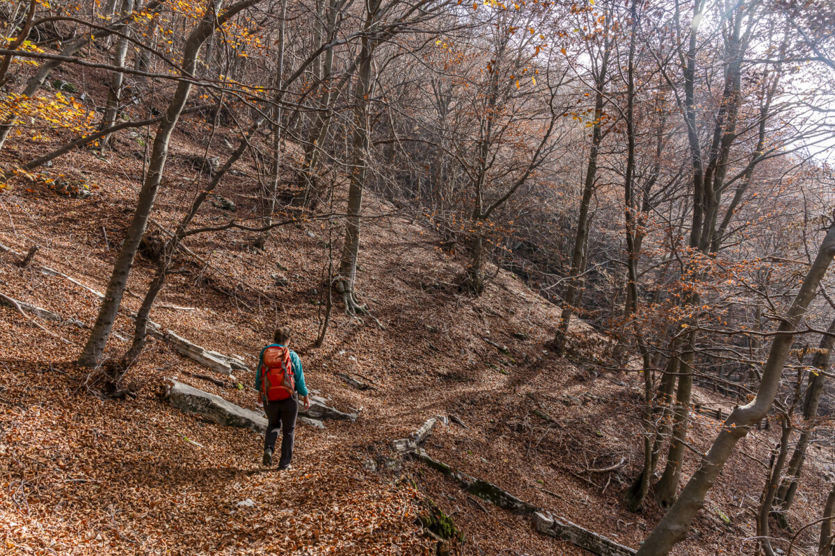 Wanderweg Erbonne