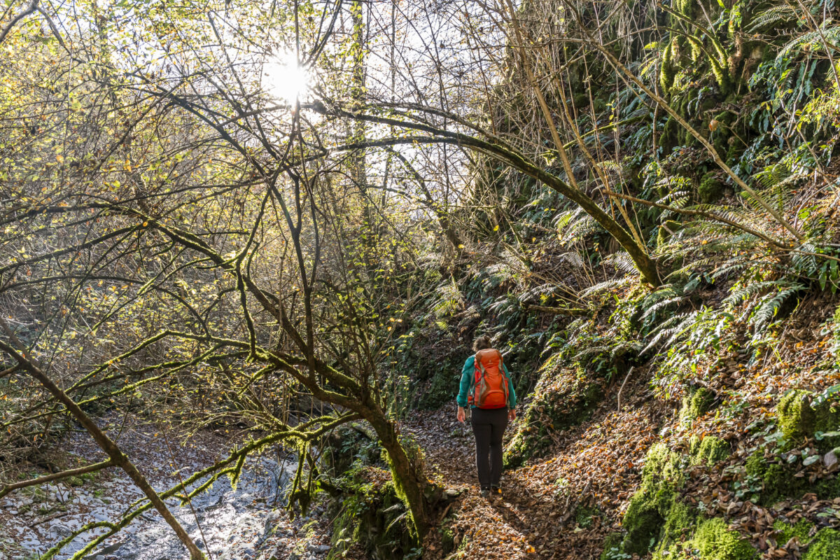 Talwanderweg im Val Muggio