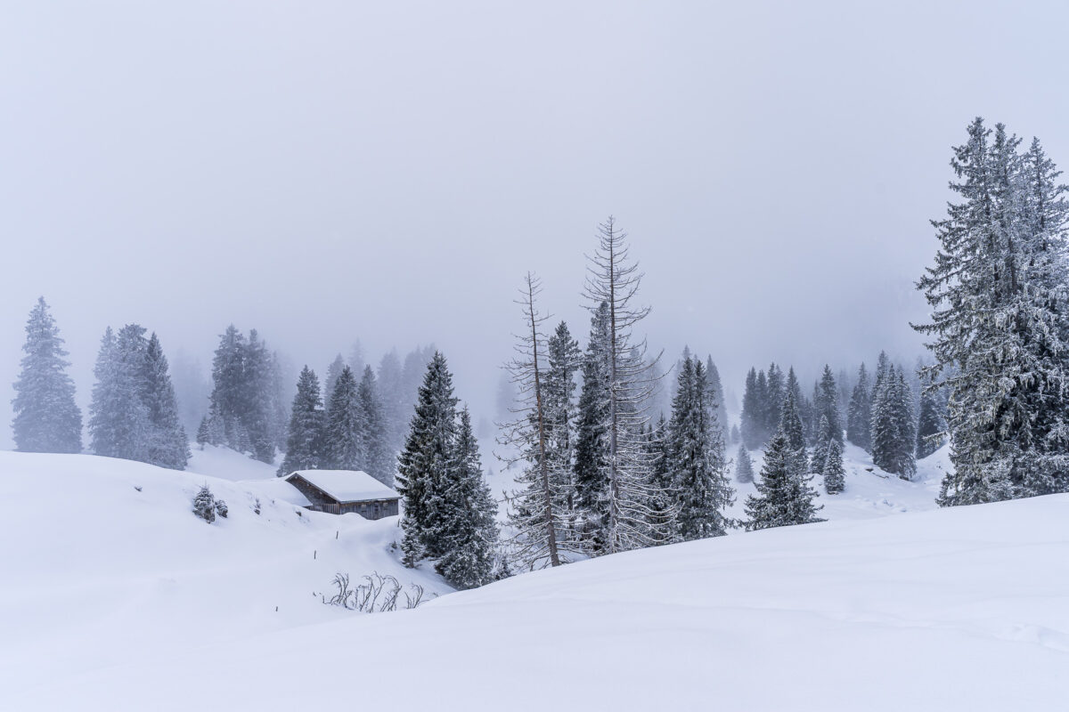 Winterlandschaft auf der Alp Sellamatt