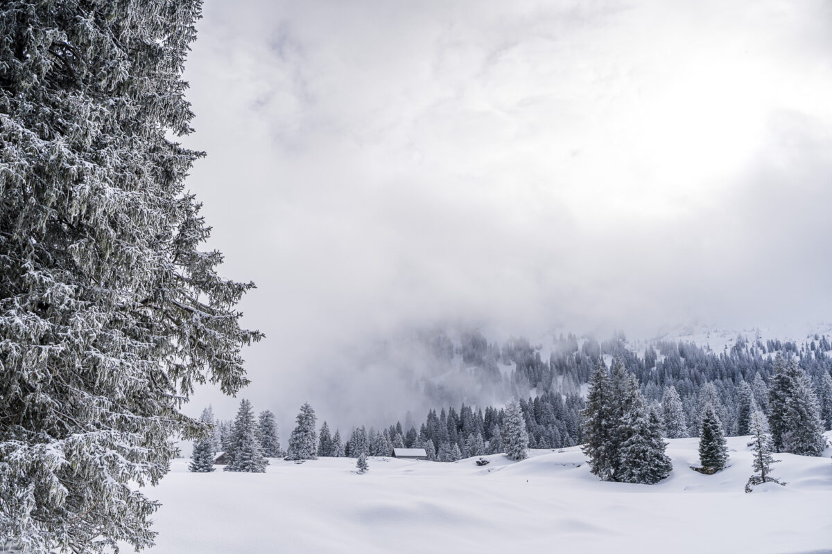 Winter im Toggenburg