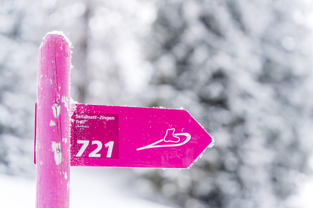 Schneeschuhtrail Nr. 721 Toggenburg