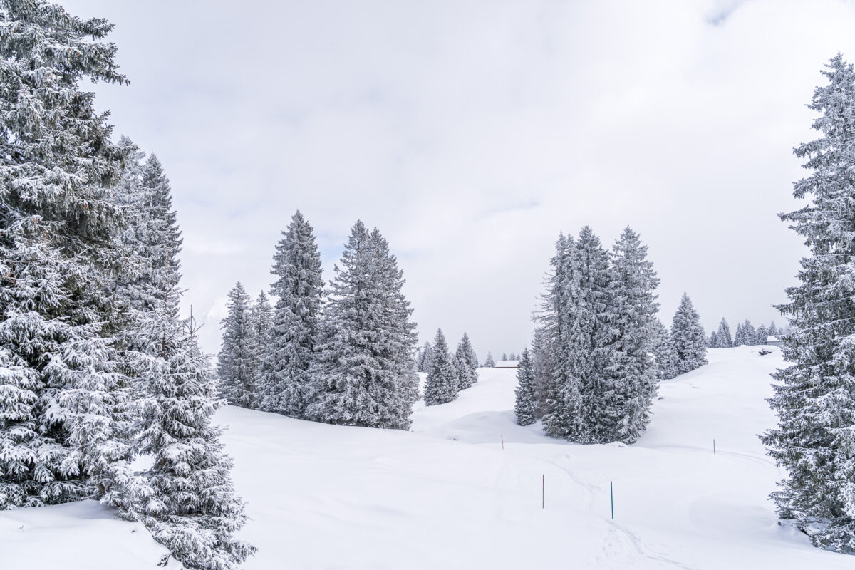 Alp Sellamatt Schneeschuhtrail